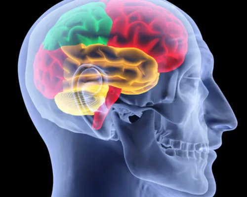 Brain Health Assessment in West Bloomfield