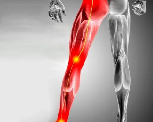 Chiropractic Care West Bloomfield
