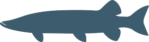 blue muskie icon