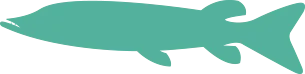 teal pike icon