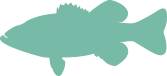 teal bass icon