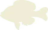 Cream bluegill icon