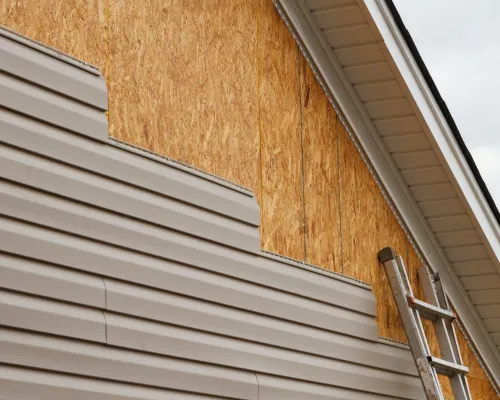  Interior and Exterior Painting