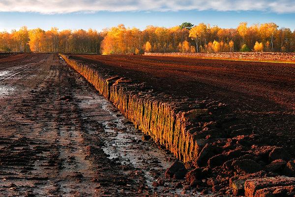 FIRE AND SMOKE: A DEEP DIVE INTO THE ORIGINS, PRODUCTION, AND UNIQUE TASTE OF PEATED WHISKY