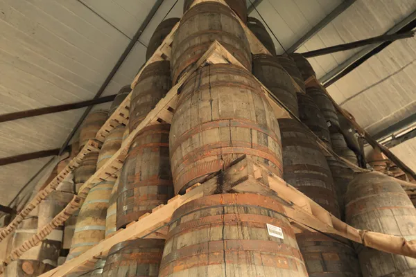 The 'Golden Age' of Maturity: Why 12–15 Years is the New Sweet Spot