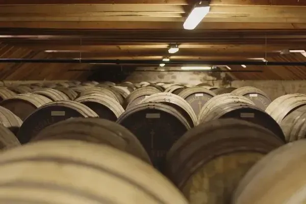 WHICH DISTILLERIES OFFER THE BEST RETURNS?