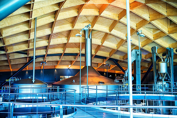 WHAT MAKES THE MACALLAN WHISKY SO SPECIAL?