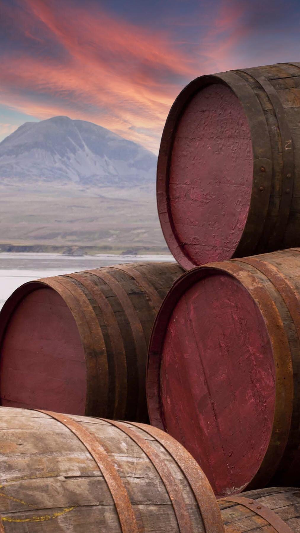 Casks resting in the Scottish landscape. Slow, structured maturation is central to the character that informed buyers seek.