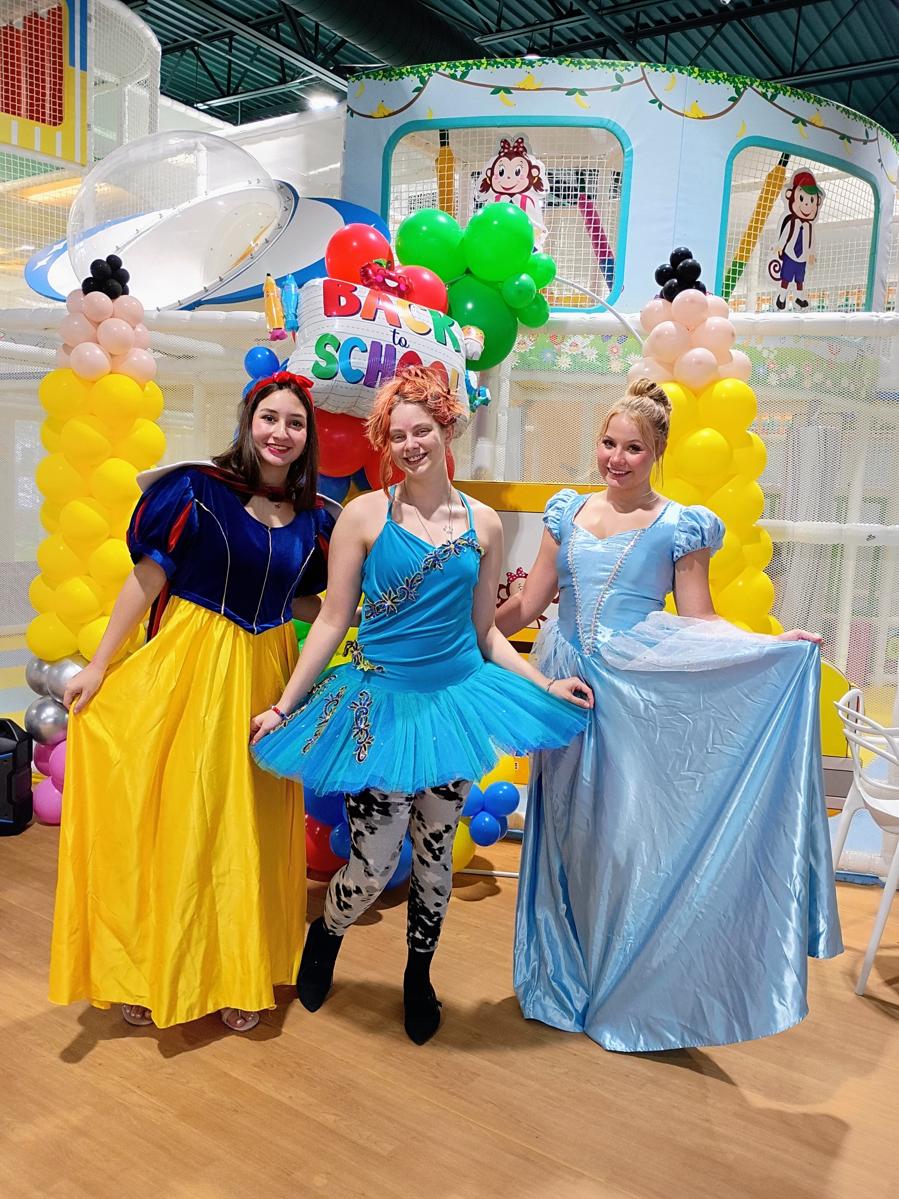 Disney Princess Birthday Theme Setup