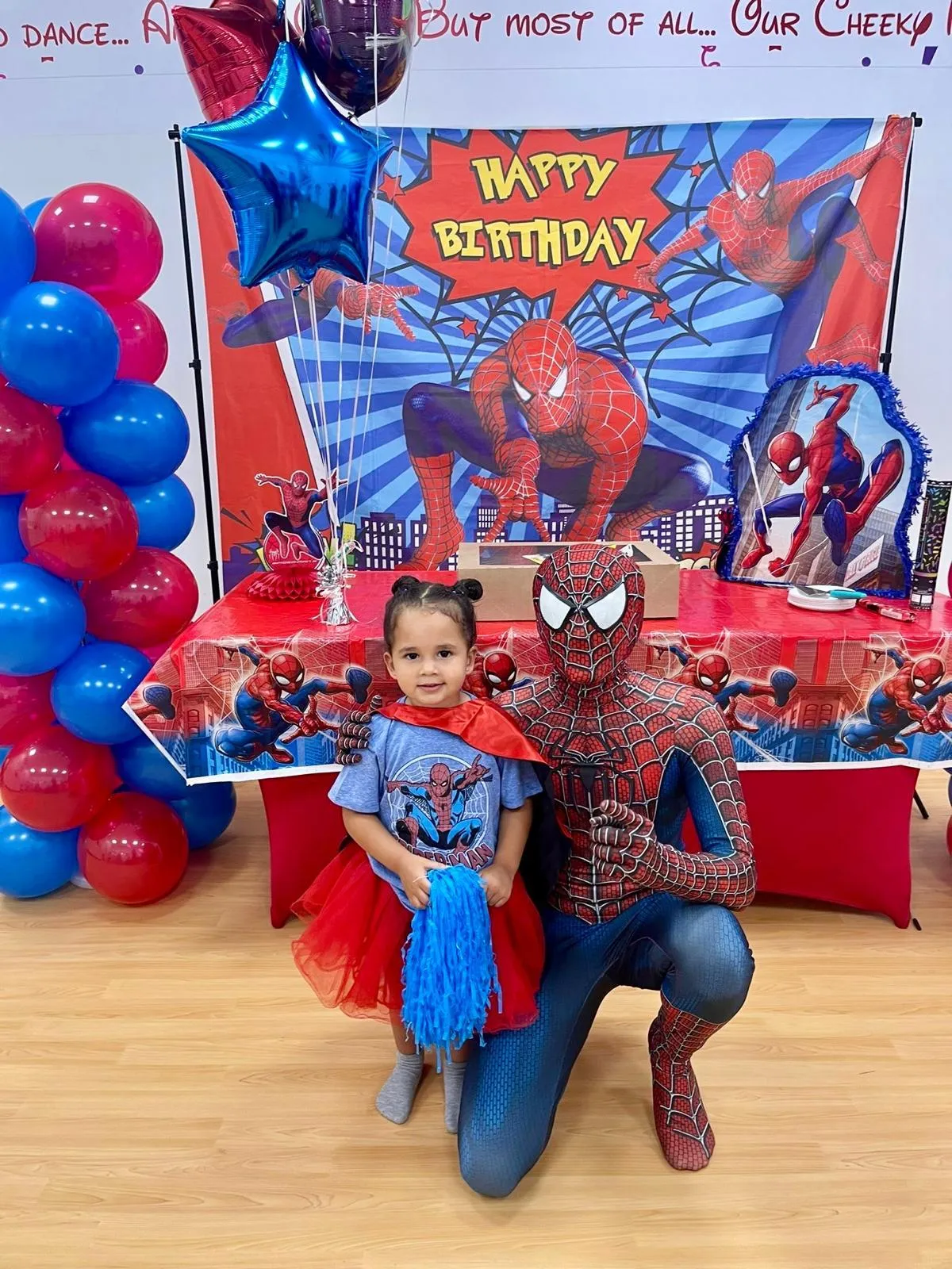 Spider-Man Birthday Theme Setup