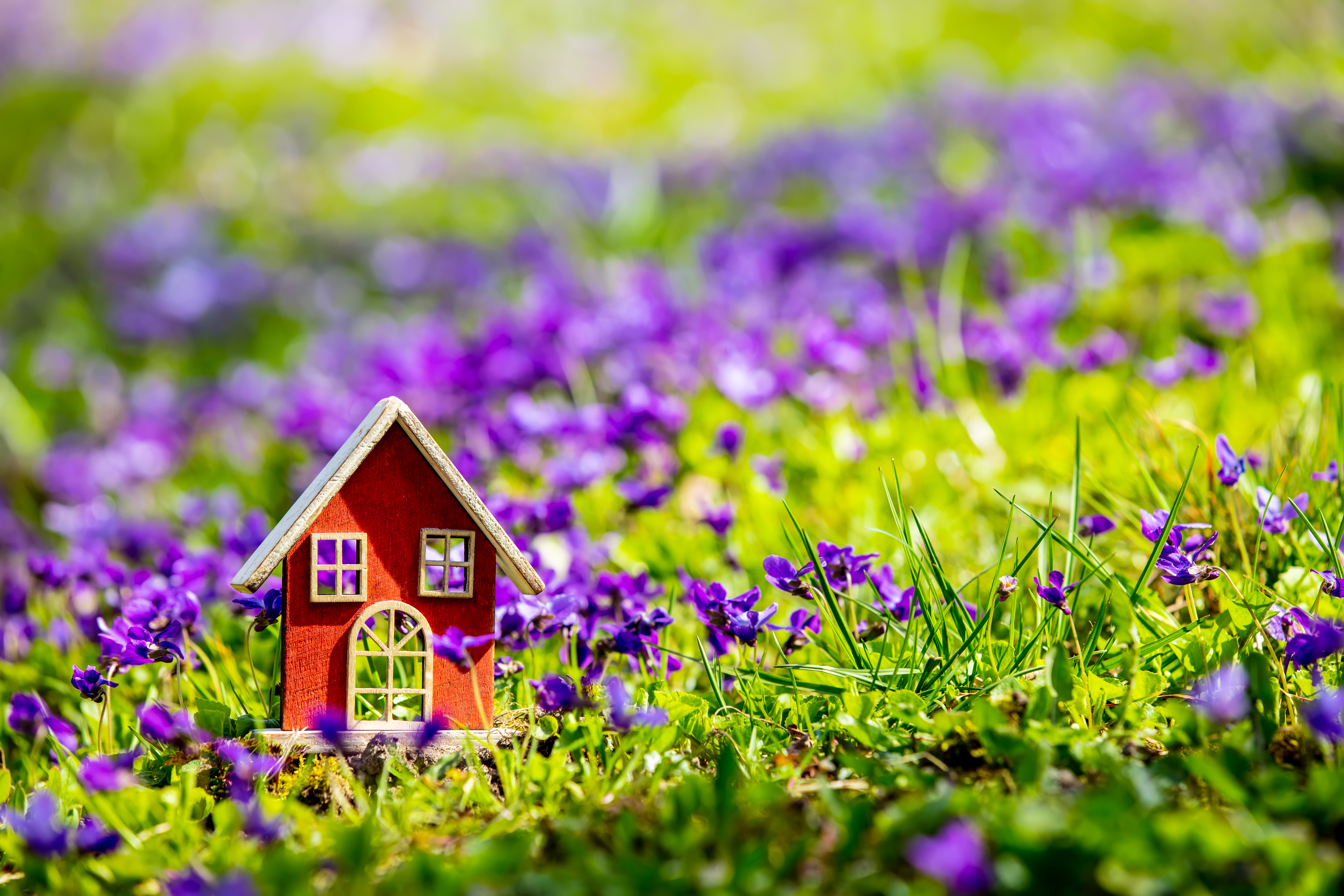 Unlocking Dreams: Market Your Ocala Property to Out-of-State Buyers