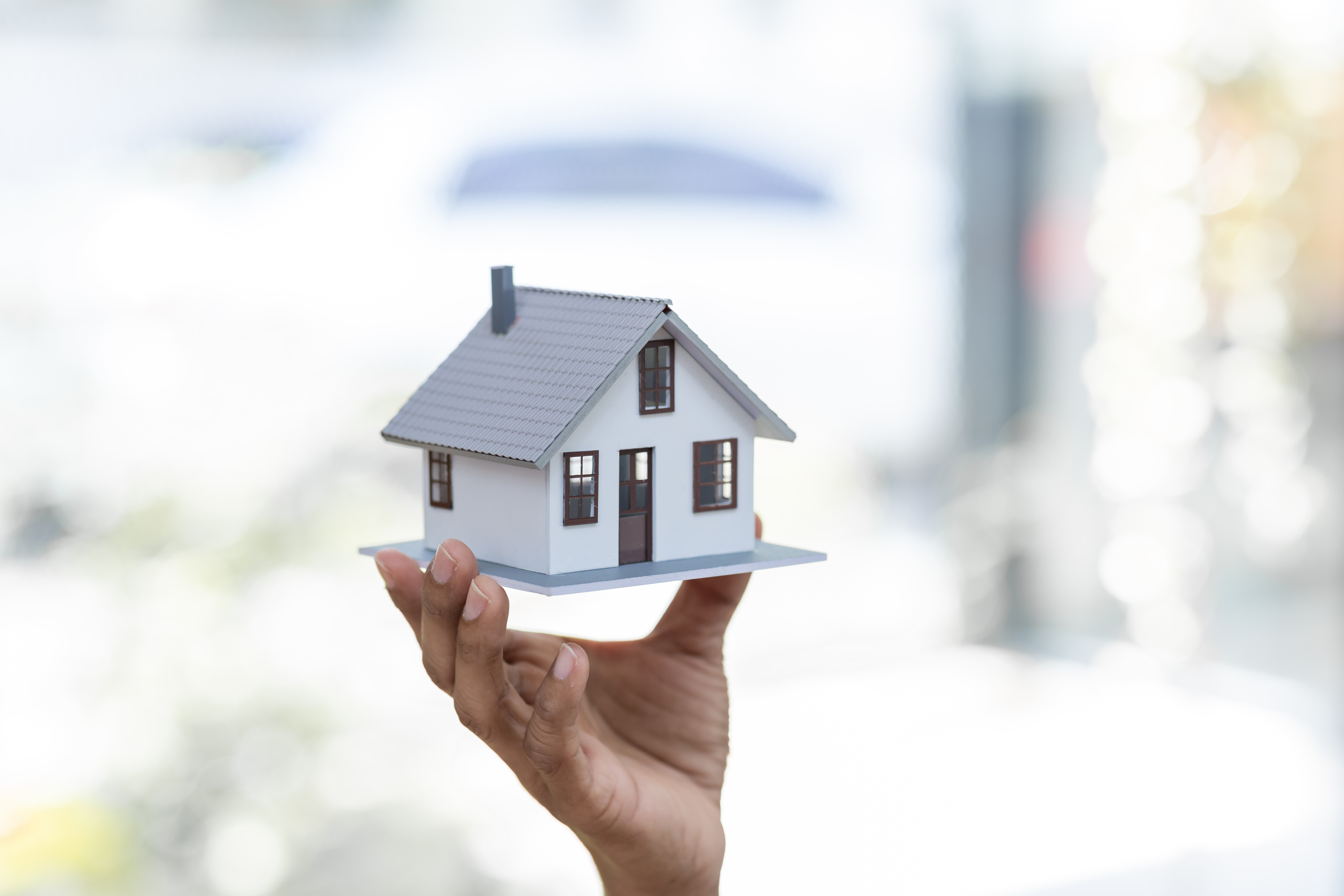 Stress-Free Estate Sales and Moving in Ocala/Citrus Area