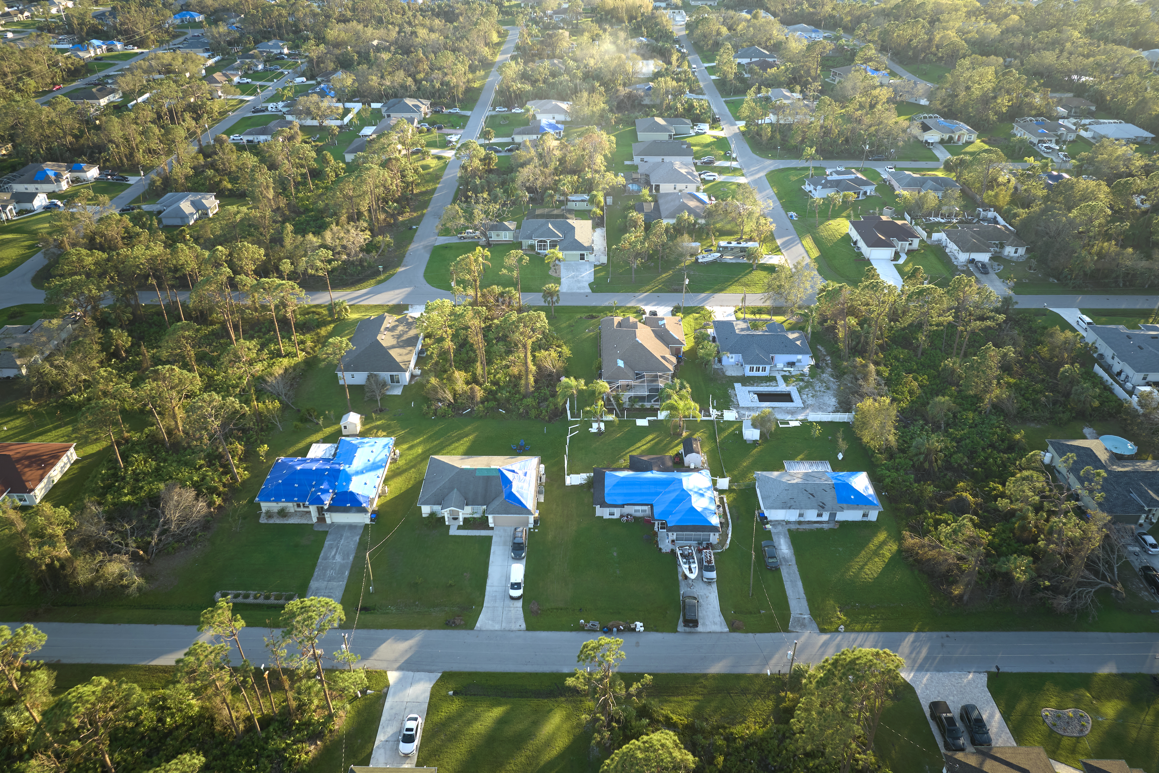 Unlock Wealth: Agricultural Exemptions & Land Banking in Ocala