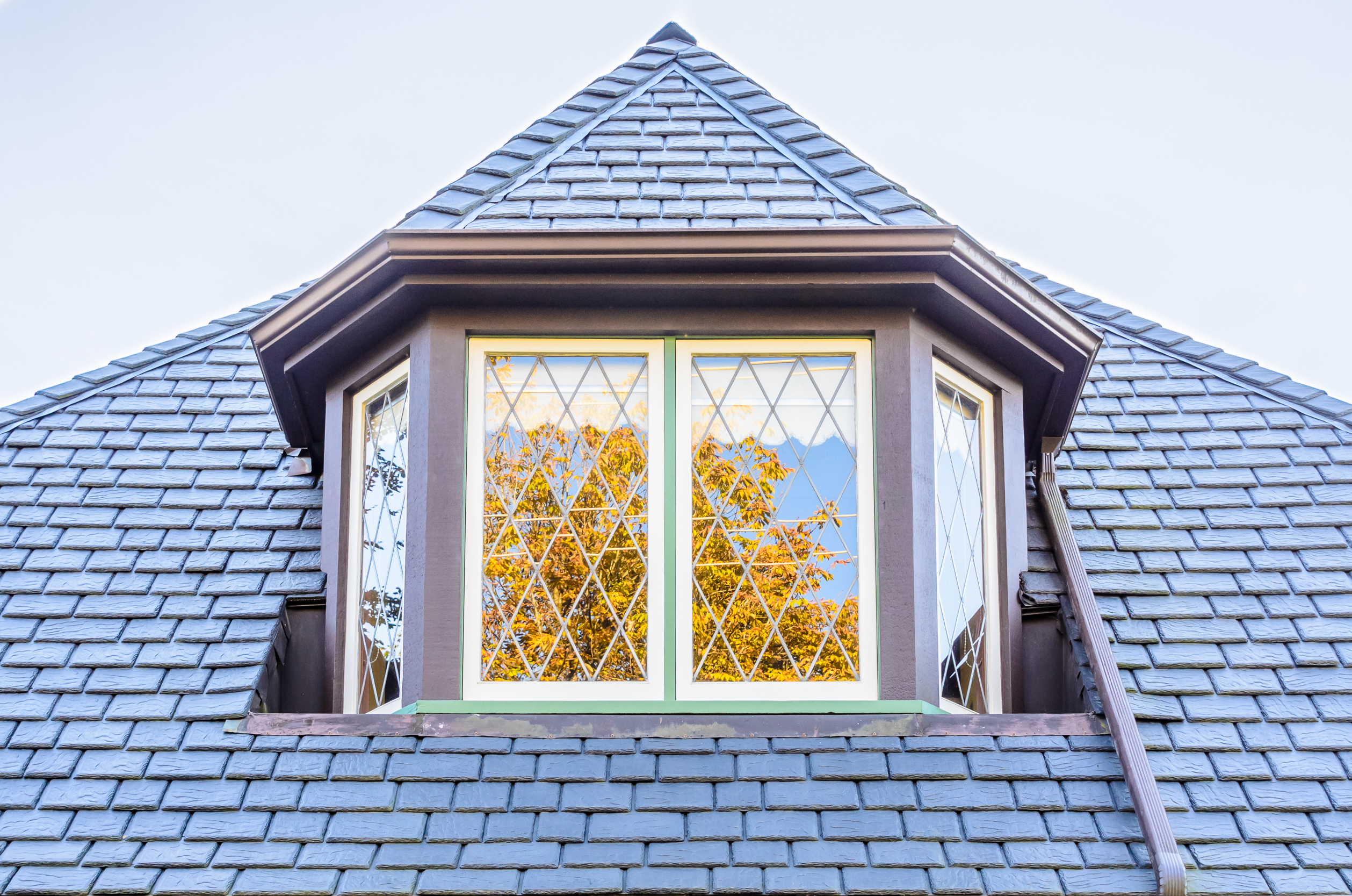 Naturally Resilient: Unlock Ocala’s Inland Advantage