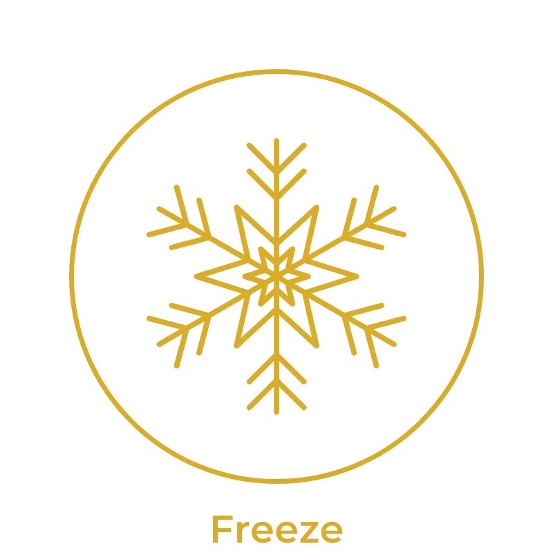 The Invisible Ceiling High Achievers Don’t See - Freeze