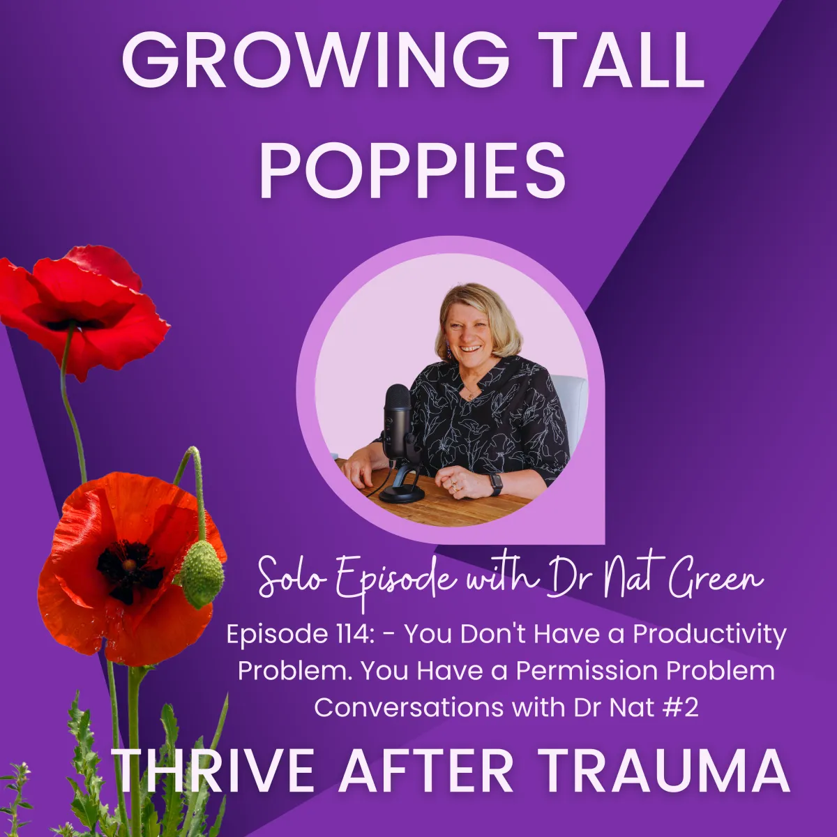 S3 E114 You Don't Have a Productivity Problem, You Have a Permission Problem
