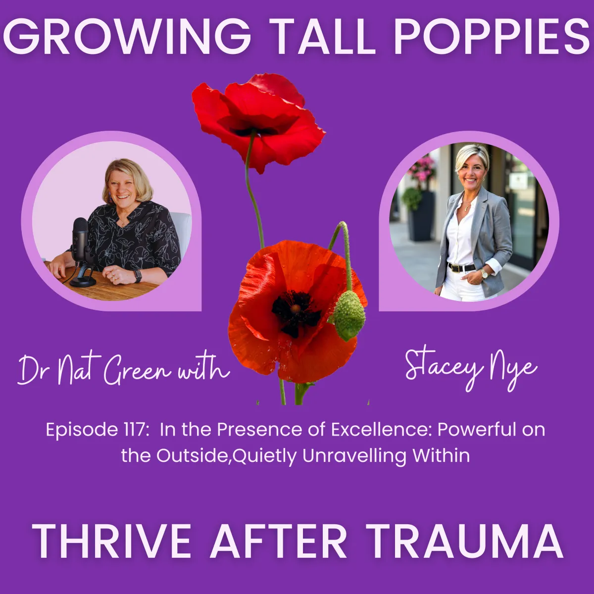 S3 E117 In the Presence of Excellence: Powerful on the Outside, Quietly Unravelling Within