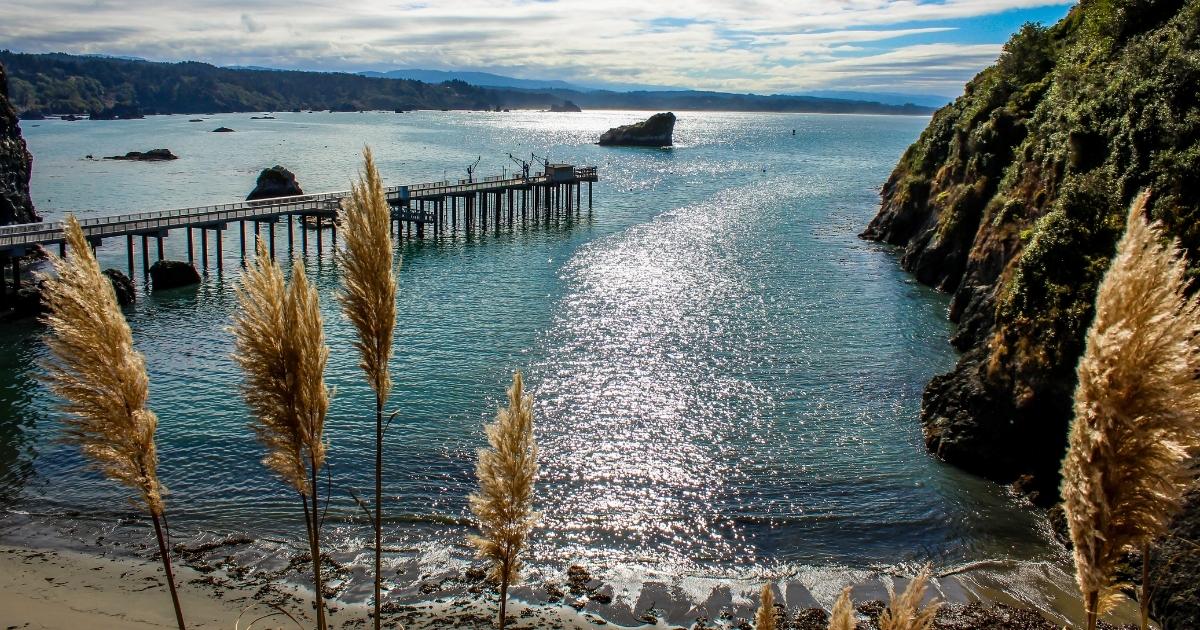 Things to Do in Trinidad, CA | Redwood Coast Attractions Near Emerald Forest Cabins & RV