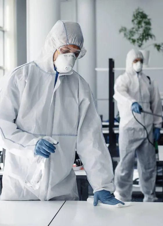 disinfection services