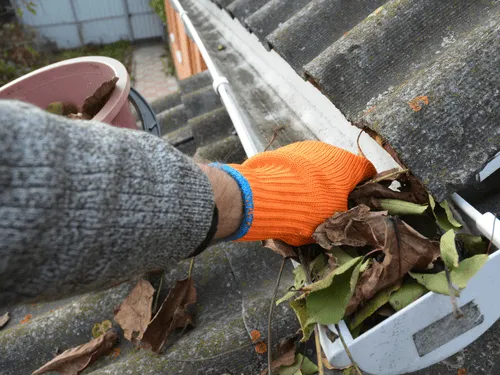 Roof & Gutter Plumbing in Narangba
