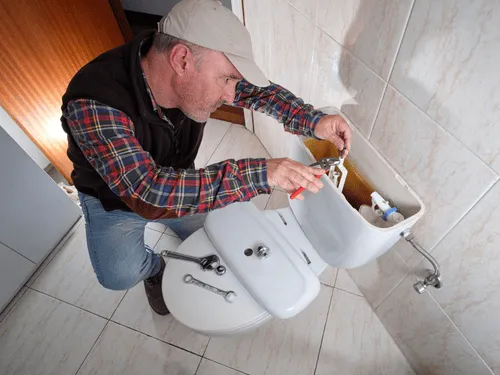 Toilet Repairs & Installation in Narangba