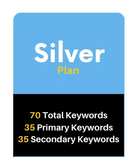 Our Silver SEO plan utilizes 70 keywords and will rank your website higher on Google.