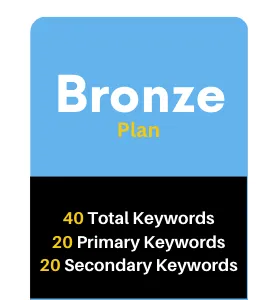 Our Bronze SEO plan utilizes 40 keywords and will rank your website higher on Google.