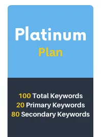 Platinum Local Search Engine optimization plan of Alper Marketing Agency. Get found online. Increase your Google Rankings, put keywords on your site. 