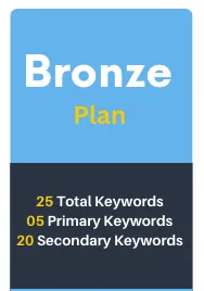 Bronze Local Search Engine optimization plan of Alper Marketing Agency. Get found online. Increase your Google Rankings, put keywords on your site. 