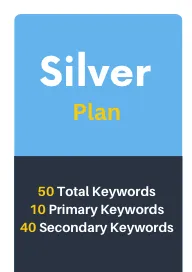 Silver Local Search Engine optimization plan of Alper Marketing Agency. Get found online. Increase your Google Rankings, put keywords on your site. 