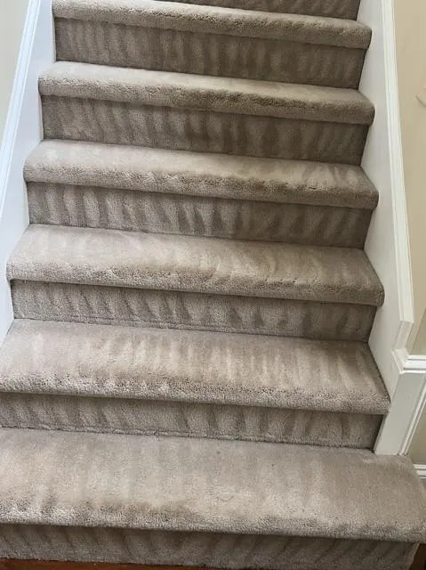 Carpeted staircase with visible vacuum lines showing a fresh, detailed cleaning job