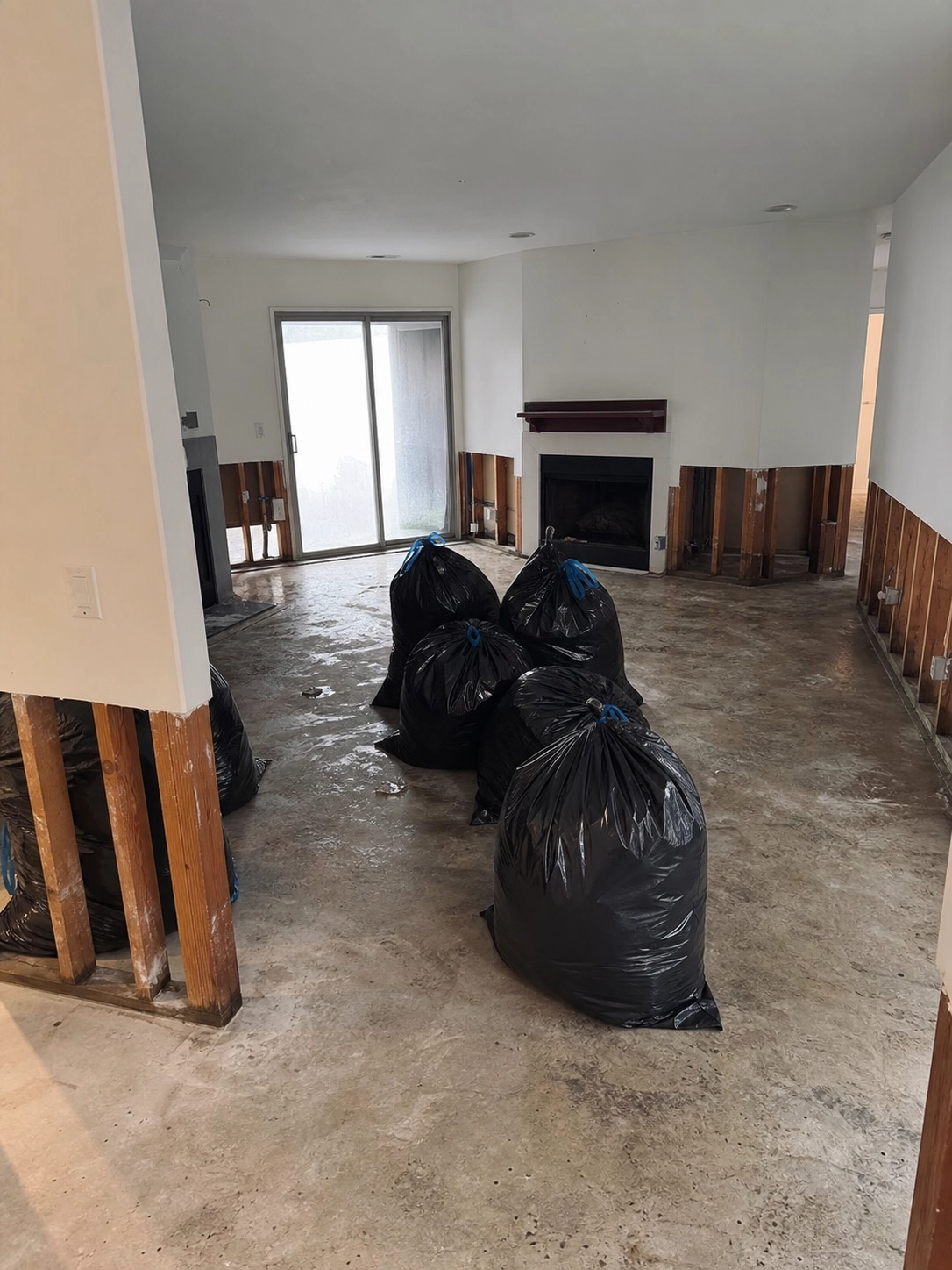 Mold Remediation Los Angeles, CA