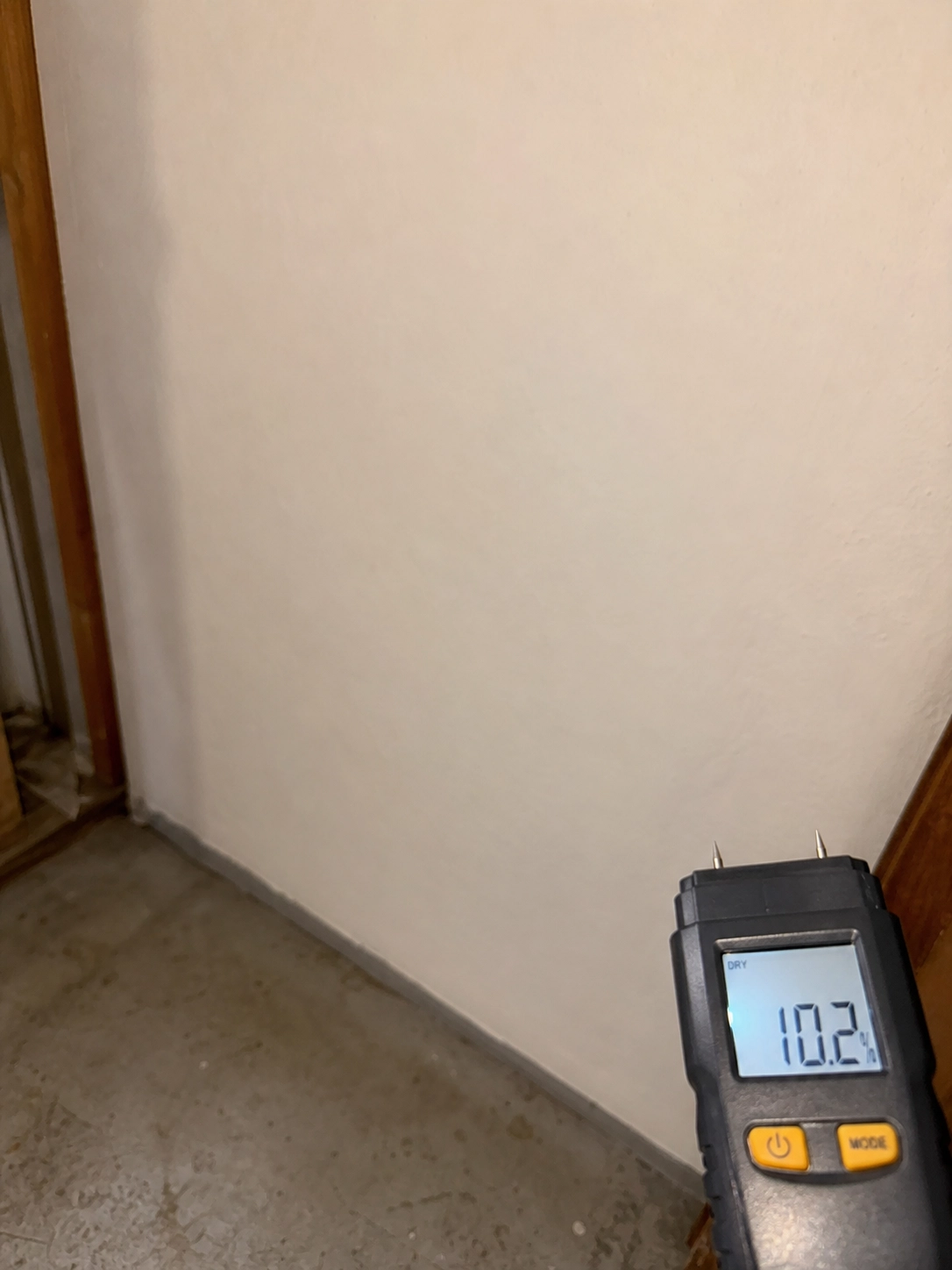 Long Beach, CA Mold Remediation