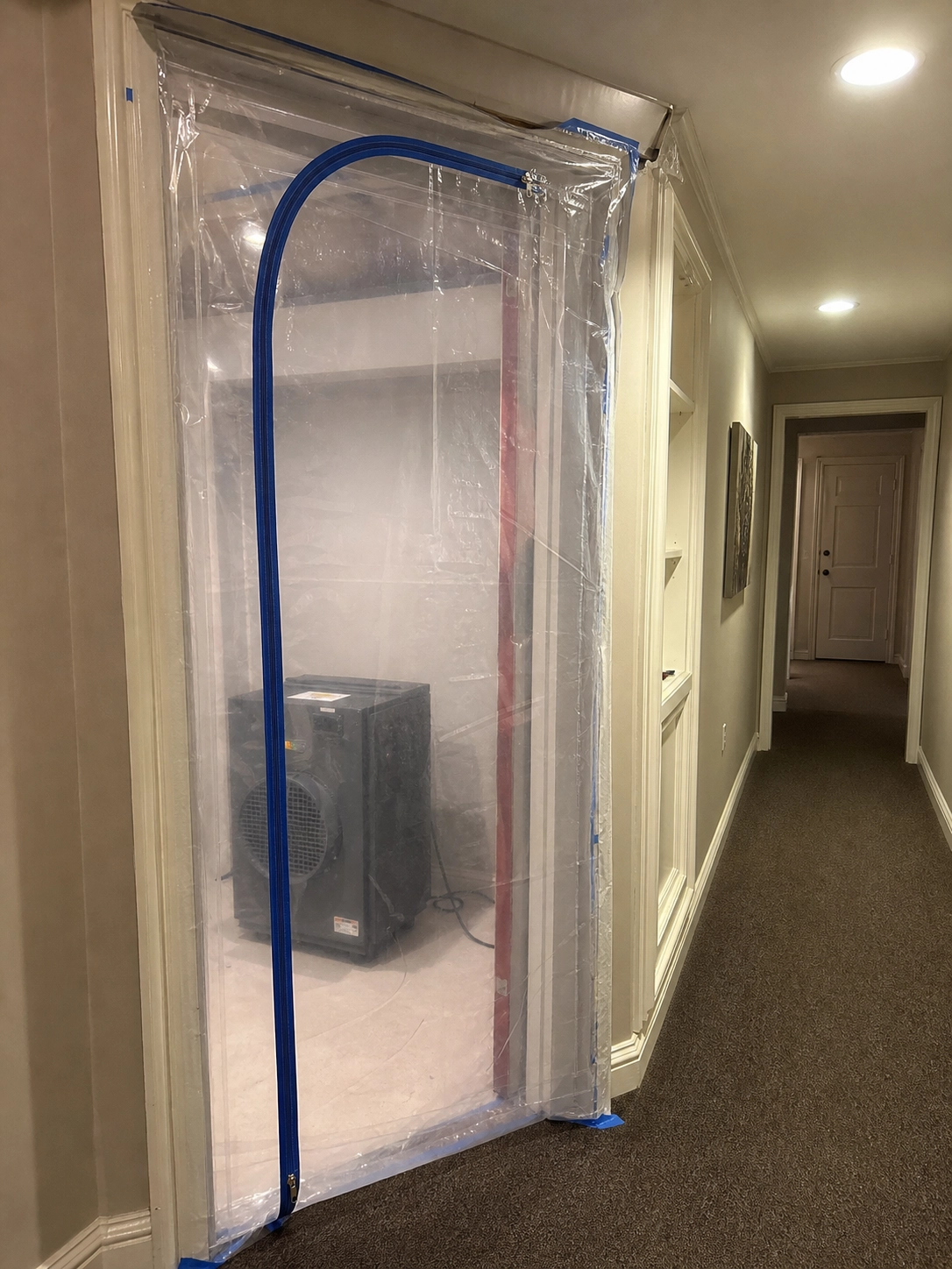 Mold Remediation Los Angeles, CA