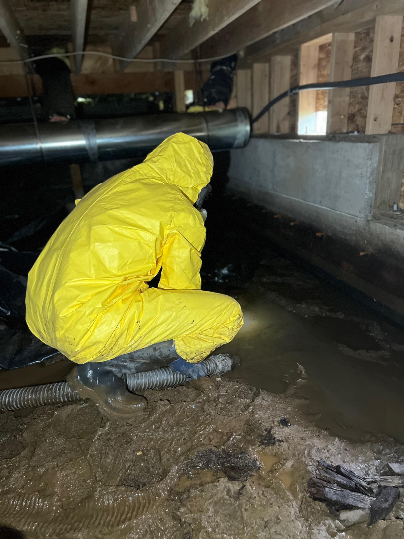 Anaheim, CA Crawlspace Cleanup & Restoration