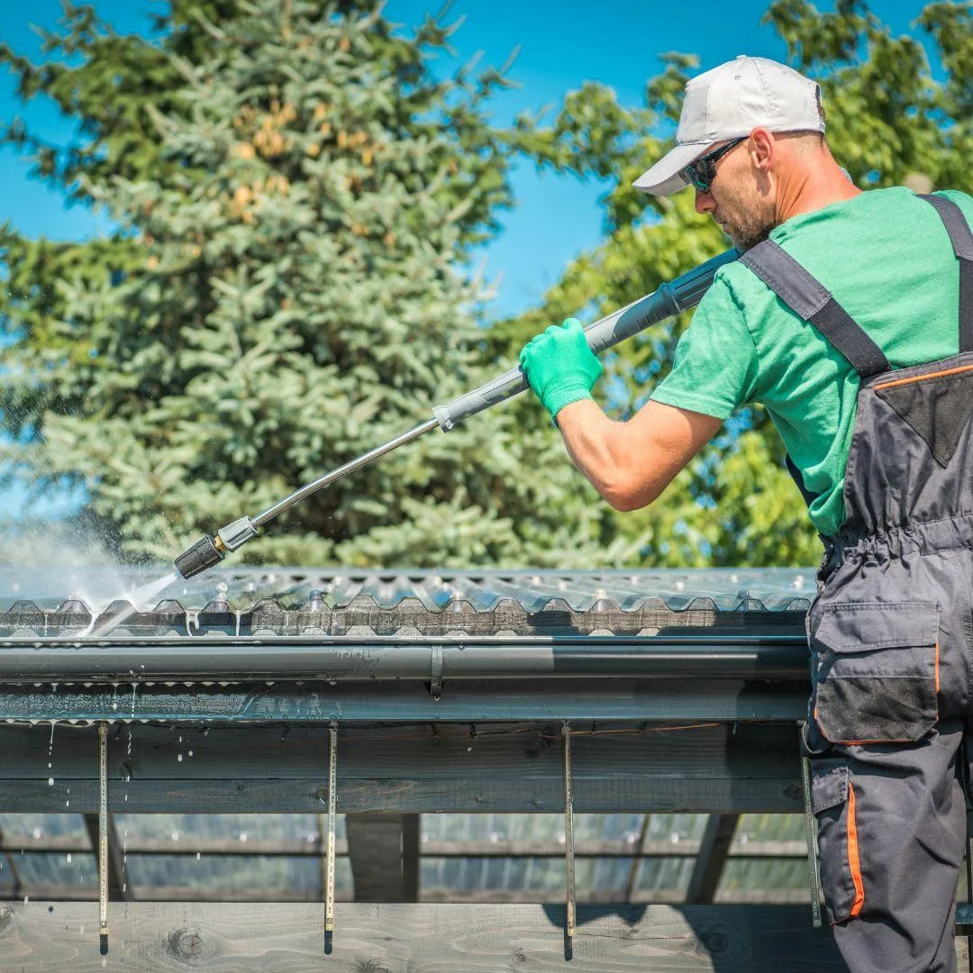 gutter cleaning