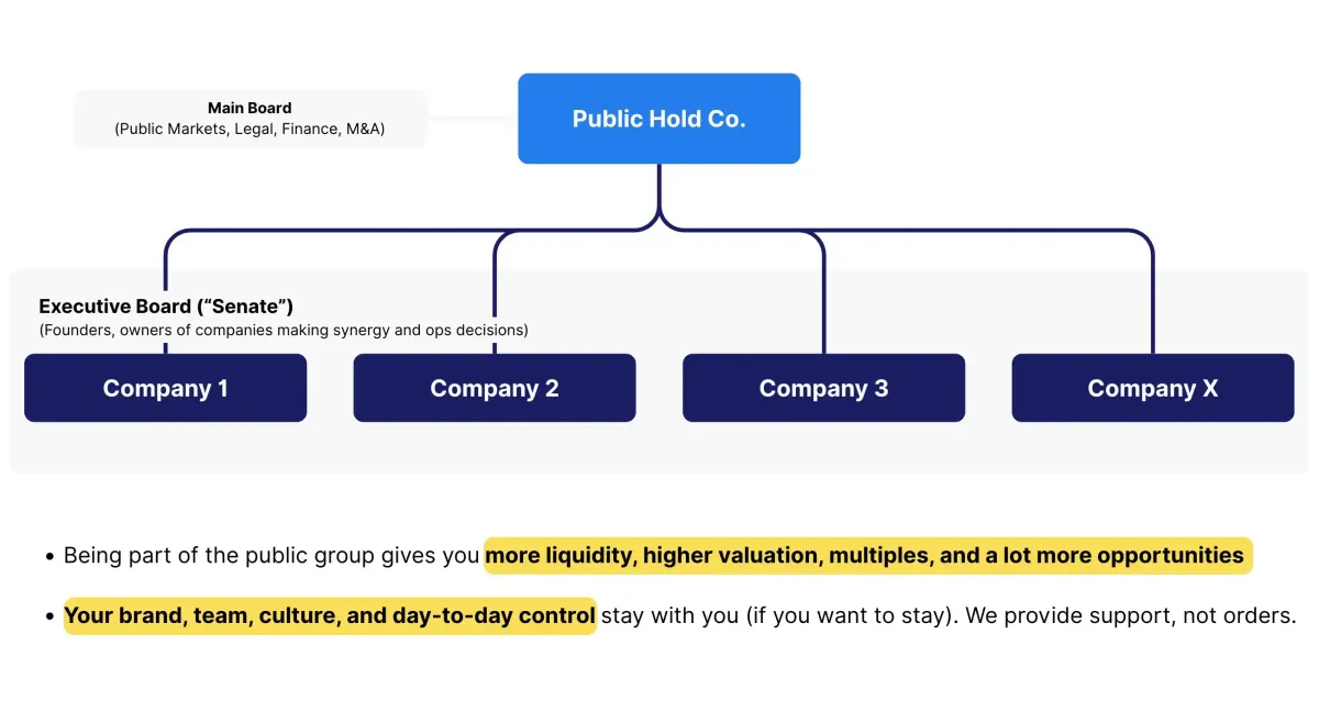 Public Company Structure