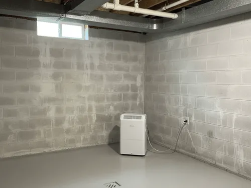 Mountain Brook, AL Mold Treatment