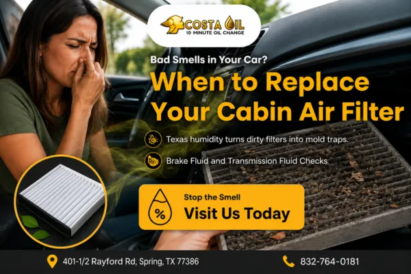 Cabin Air Filter