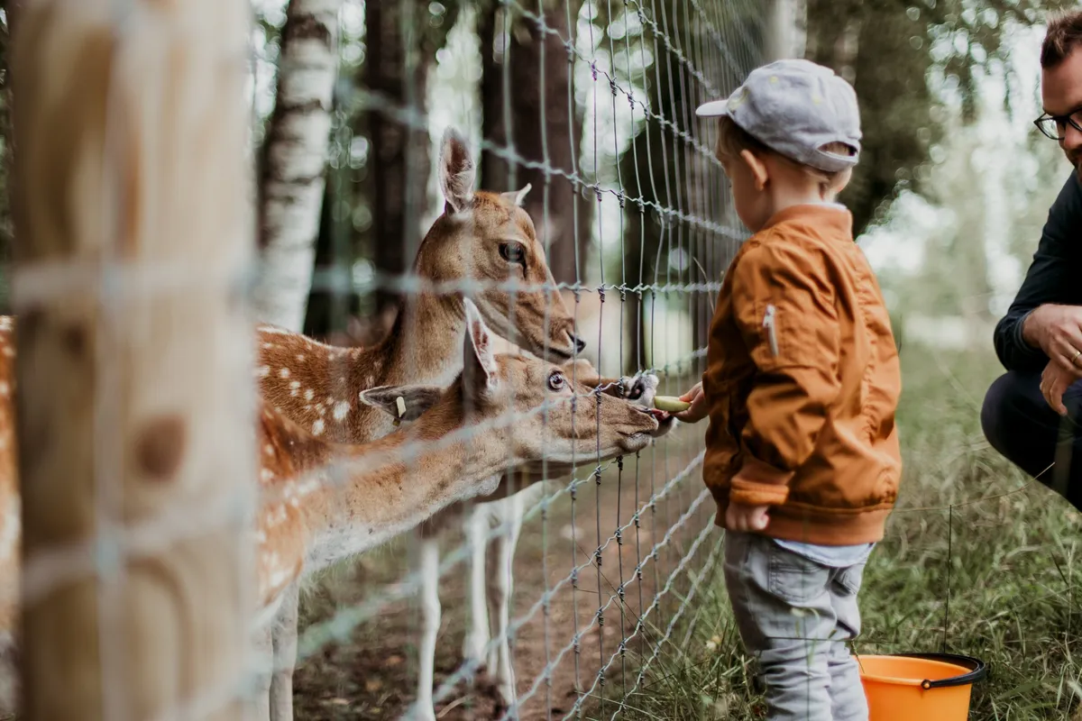 Summertime Fun: 3 Family Friendly Activities in Houston This Year