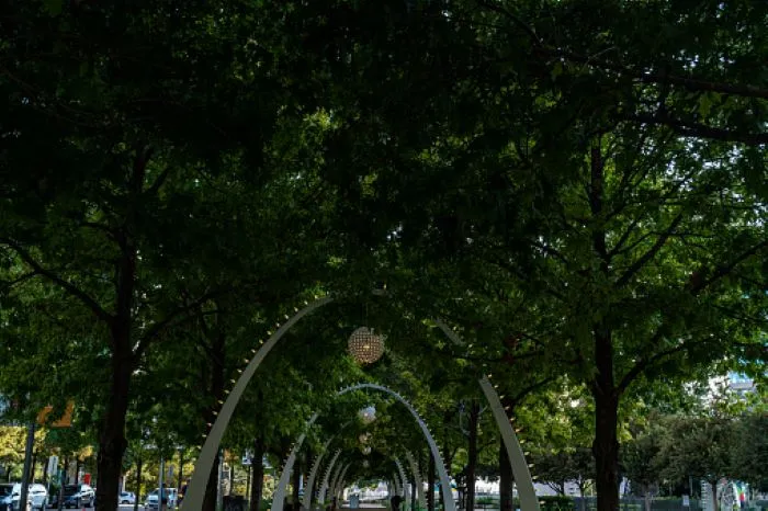The 4 Best Dallas Parks to Spend a Day In