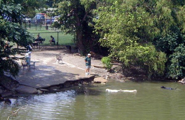Enjoy walking your dog at White Rock Lake Park