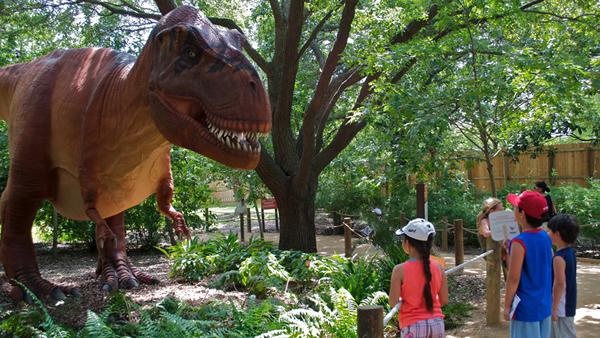 Have a great time at the Houston zoo