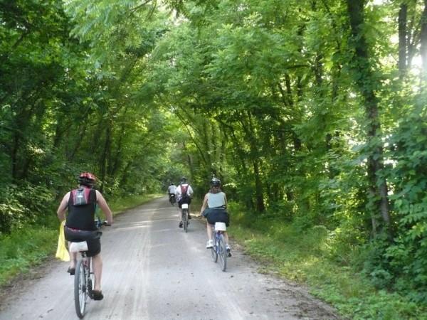 Enjoy a bike ride on Katy Trail