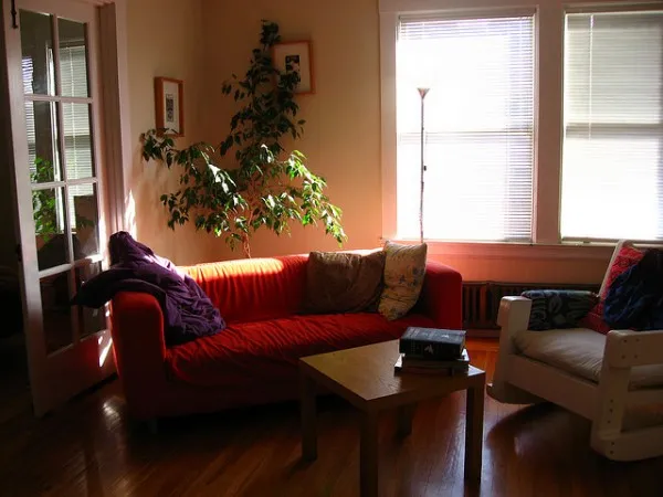 No matter how great your apartment looks on the outside, it could have underlying issues.