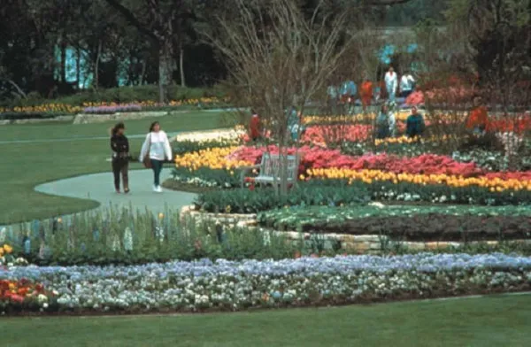 Enjoy your summer at the Dallas Arboretum