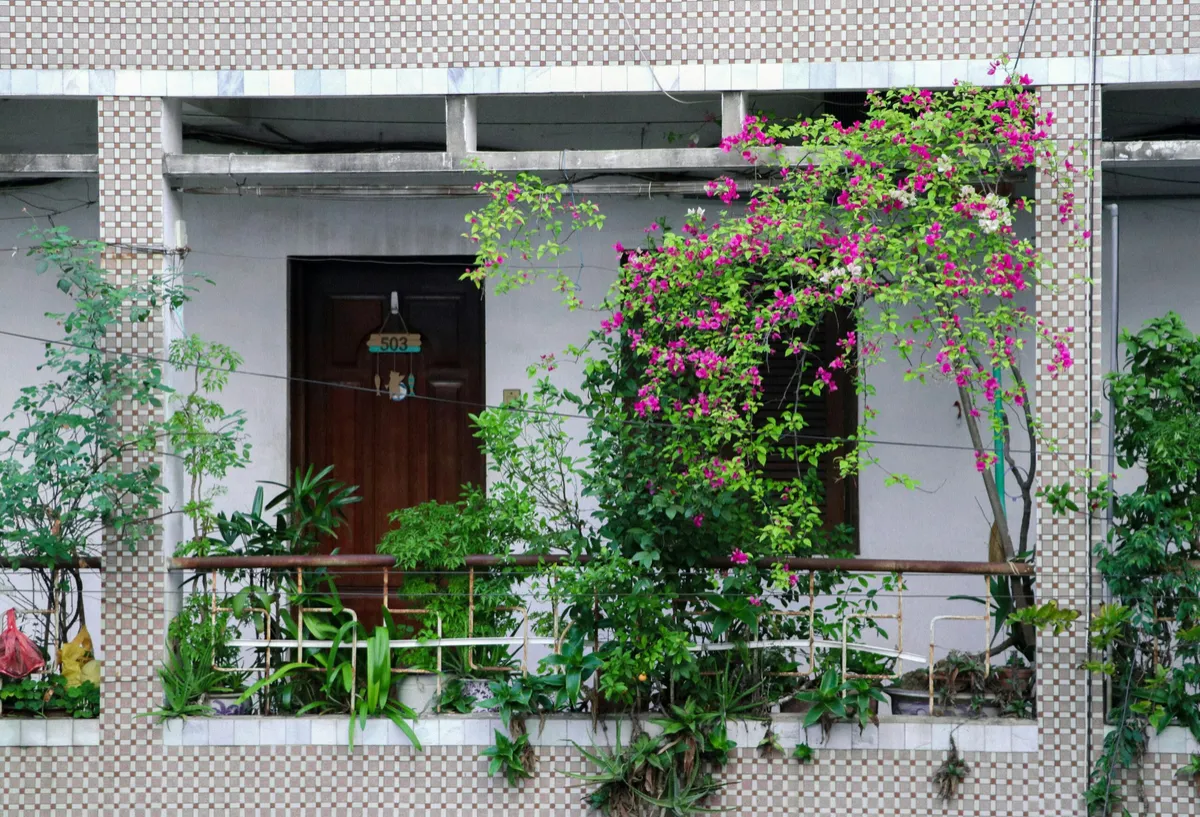 How to Grow a Spring Garden on Your Balcony