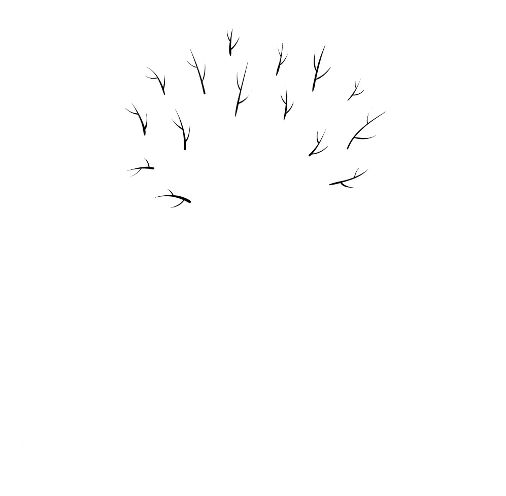 Plant City Tree Service logo white
