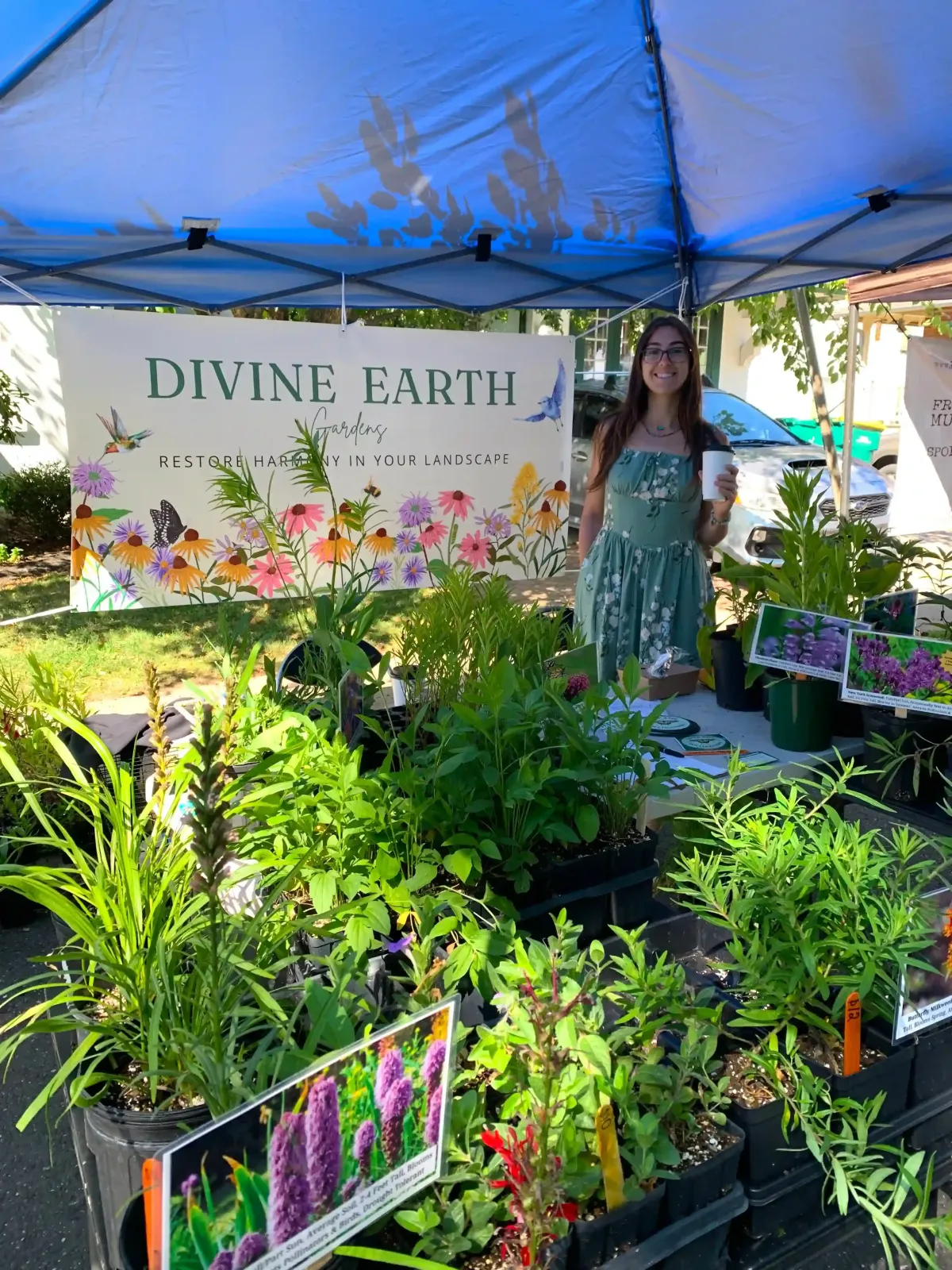 native plant sale at a local farmers market