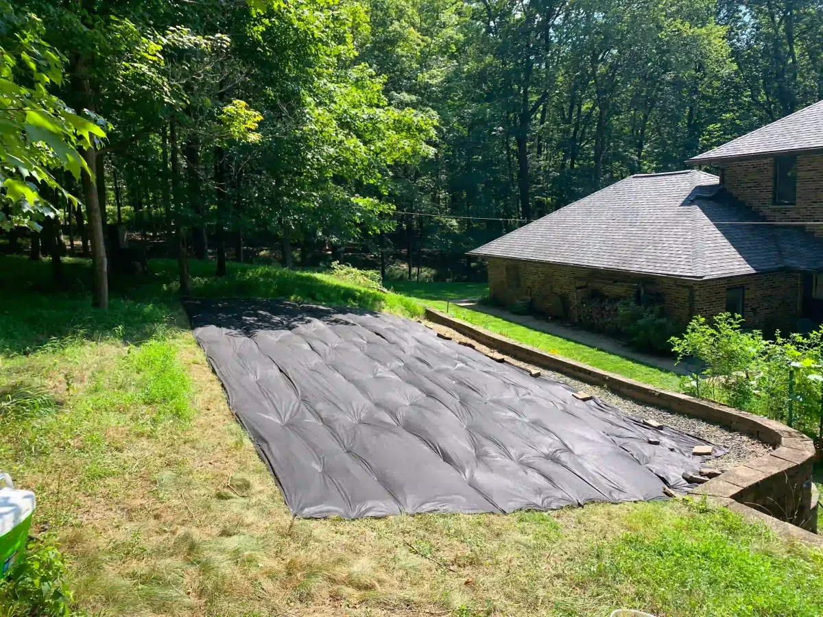smothering lawn in newtown, pennsylvania to create a mini meadow